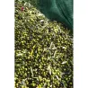 MALLA PARA RECOLECTAR ACEITUNAS DARK GREEN 80GR 08X12M NATUUR 23026112