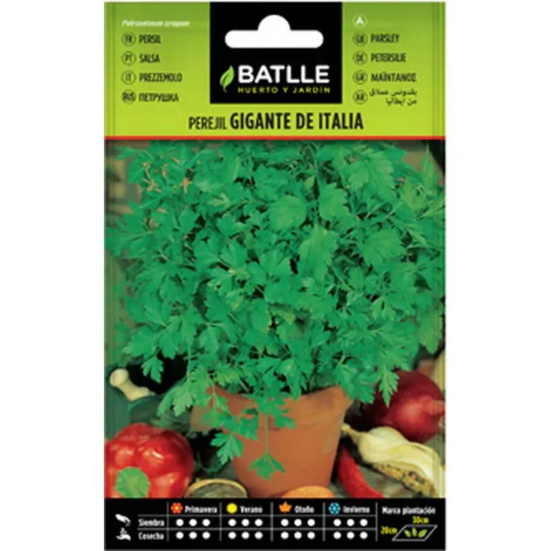 SEMILLAS PEREJIL GIGANTE AROMATICA BATLLE 014503BOLS