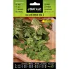 SEMILLAS PEREJIL LISA 2 BATLLE 014501BOLS