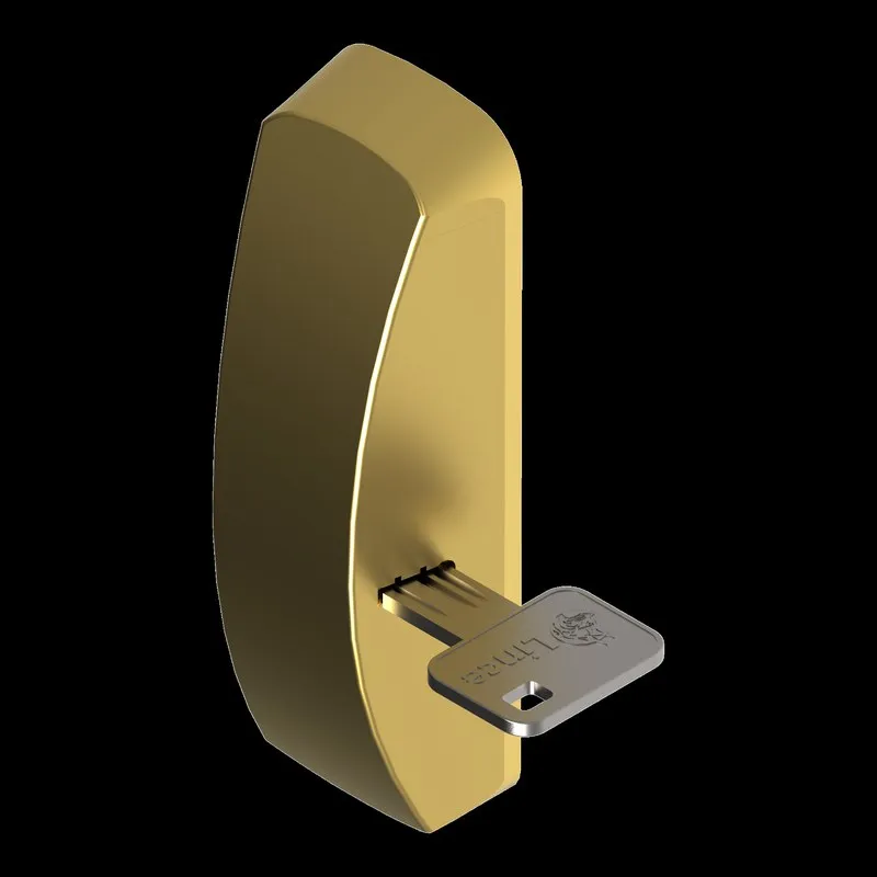 ESCUDO PROTECTOR ANTIVANDALICO DERECHA LATONADO LINCE PR000XLHLD