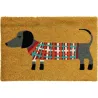 FELPUDO COCO NATURAL BASSET 40X60CM DINTEX 50021