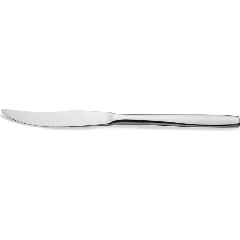 CUCHILLO CARNE PACK 2 UNIDADES INOX EUROPA PPE5150Y001E20UZ1Z