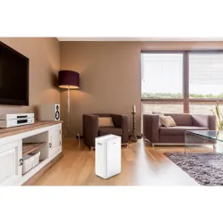 DESHUMIDIFICADOR CON WIFI 16 L/DIA HTW HTWD016A4