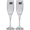 COPA CAVA PACK 2 UNIDADES 19CL 584456548882