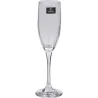 COPA CAVA PACK 2 UNIDADES 19CL 584456548882