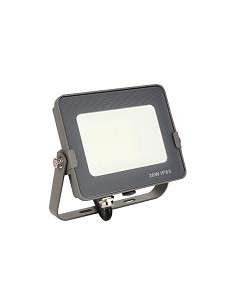 Compra Foco proyector led ip65 luz fria 2400lm 30w SILVER 172030 al mejor precio
