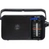 RADIO ANALOGICA PORTATIL ALIMENTACION RED O PILAS 2LR20(D) NO INCLUIIDAS ELBE RF-942