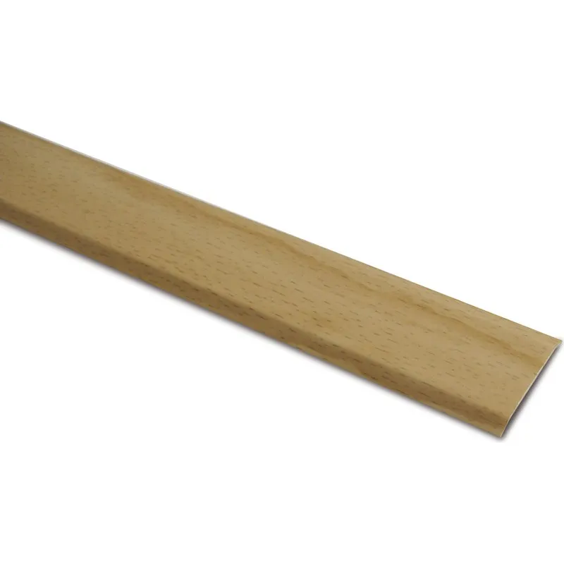 TAPAJUNTAS "MOQUETA" INOX ADHESIVO 35MMX100CM HAYA BRINOX B812404