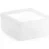CONTENEDOR ALIMENTOS PEQUEÑO CONGELADOR/NEVERA 0,5L 6,3X13,2X13,2CM BRABANTIA 890055