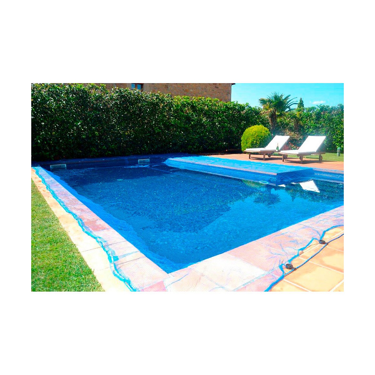 Malla para piscina 5x9m leaf pool cover