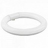 Compra FLUORESCENTE LED CIRCULAR MATEL 22CM 15W FRÍA al mejor precio