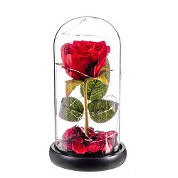 Rosa roja eterna leds cupula cristal 20 cm caison