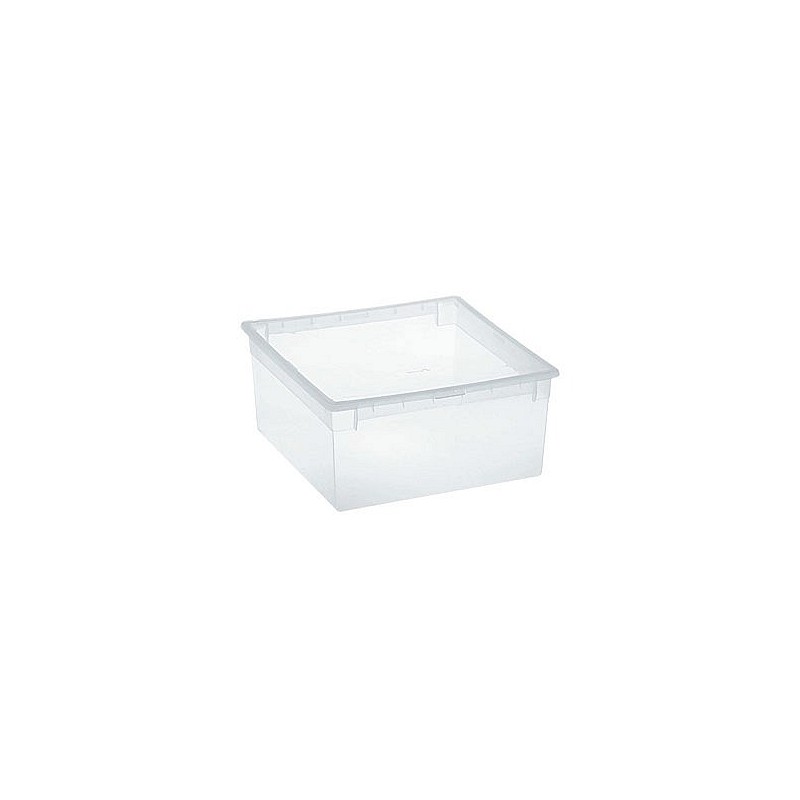 Compra Caja multiusos light box transparente 23 l TERRY 1001380 al mejor precio