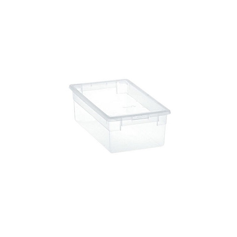 Compra Caja multiusos light box transparente 5 l TERRY 1001377 al mejor precio