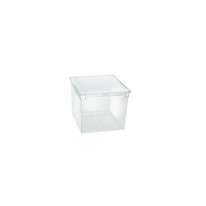 Compra Caja multiusos light box transparente 50 l TERRY 1002677 al mejor precio