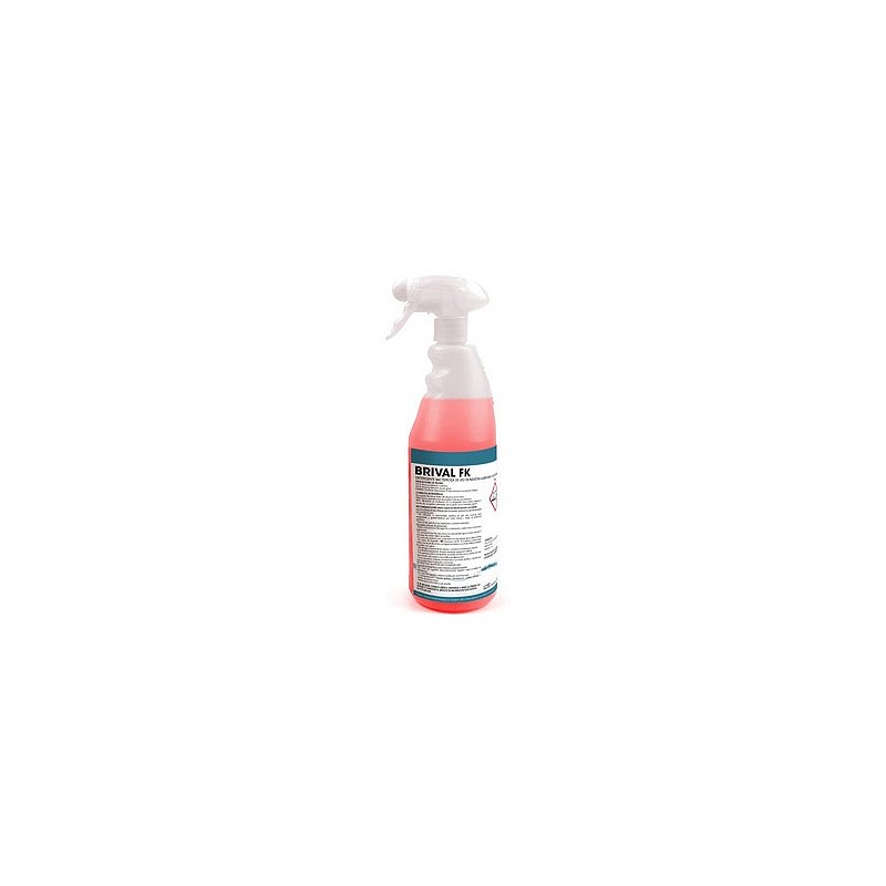 Compra Detergente bactericida brival fk ready 750 ml pulverizador NON DS0515 al mejor precio