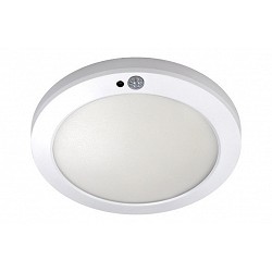 Downlight ajustable seul...